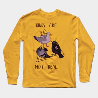 Birds are not real Long Sleeve T-Shirt